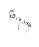 GROHE MNPT Pressure Balancing Valve 