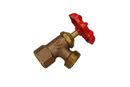 PROFLO&reg; FIP Brass Boiler Drain Valve 