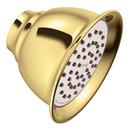 Moen Polished Brass Single Function Full Showerhead 