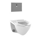 1.28 gpf Elongated Wall Mount One Piece Toilet in Cotton