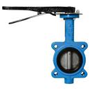 3 in. Ductile Iron Lug EPDM Lever Handle Butterfly Valve