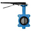 Mueller Steam Specialty Ductile Iron Lug EPDM Lever Handle Butterfly Valve 