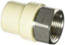 1 in. Slip x FPT Stainless Steel Transition Adapter