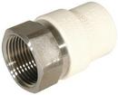 1-1/4 in. Slip x FPT Stainless Steel Transition Adapter