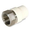 2 in. Slip x FPT Stainless Steel Transition Adapter