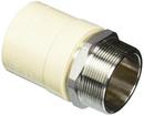 2 in. Slip x MIPT Stainless Steel Transition Adapter