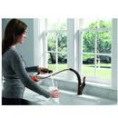 Delta Faucet Venetian&reg; Bronze Single Handle Pull Out Kitchen Faucet 