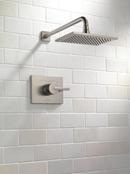 Delta Faucet Brilliance Stainless Single Handle Single Function Shower Faucet (Trim Only) 