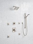 Delta Faucet Brilliance&reg; Stainless Single Function Hand Shower 