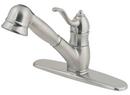 Pull-Out Kitchen Faucet with Single Lever Handle in Stainless Steel