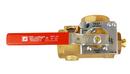 AGF Manufacturing NPT Bronze Test and Drain Sprinkler Valve with 3/4 in. Orifice 