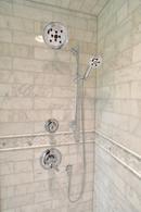 Brizo Chrome 1/2 x 9 in. NPT Brass Shower Arm and Flange 