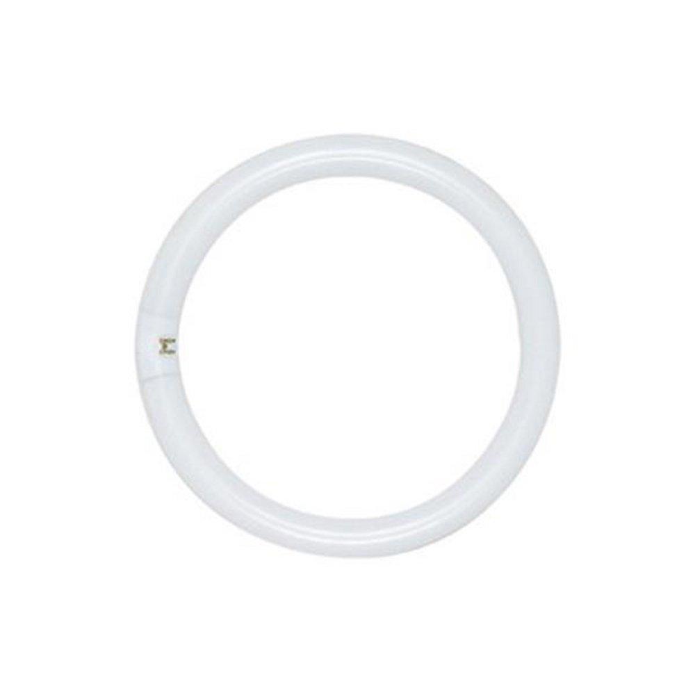 SATCO Warm White T9 Fluorescent Light Bulb with 4-Pin Base 