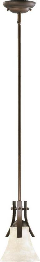 Quorum International Oiled Bronze 8-1/2 in. 100 W 1-Light Medium Pendant 