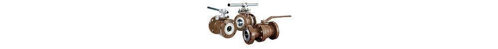 Circor Energy Stainless Steel Full Port NPTF 2000# Ball Valve 