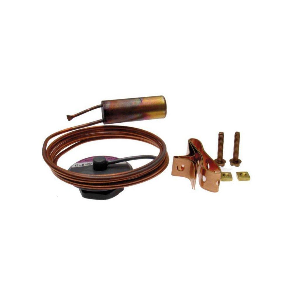 Rheem Thermal Expansion Valve 