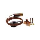 Rheem Thermal Expansion Valve 