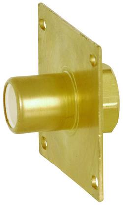 1/2 x 1/2 in. CPVC x FIP Fitting Brass