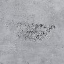 PROSELECT&reg; Patching Cement Bag 