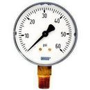 2-12/25 x 1/4 in. 60 psi Copper Alloy Pressure Gauge