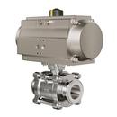 FNW&reg; Stainless Steel Clamp 400# Ball Valve 