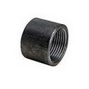 Threaded Global Black Steel Weld Half Coupling 