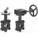 3 in. Ductile Iron Flanged EPDM Lever Operator Butterfly Valve