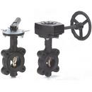 Milwaukee Valve Ductile Iron Flanged EPDM Lever Operator Butterfly Valve 