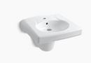 KOHLER White 1-Hole Wall Mount or Concealed Carrier Arm Oval Bathroom Sink with Shroud 