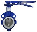 2 in. Cast Iron PTFE-EPDM Lever Handle Butterfly Valve