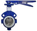 3 in. Cast Iron Teflon™ Lever Handle Butterfly Valve