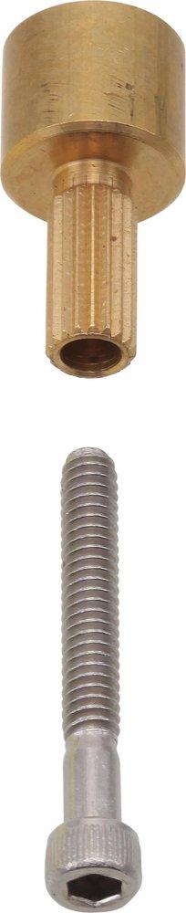 Brizo *CVR* RSVP SCRW & STEM 