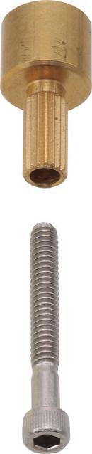 Brizo *CVR* RSVP SCRW & STEM 