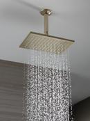 Brizo Brushed Nickel Single Function Full Spray Showerhead 