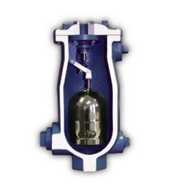 2 in. NPT Cast Iron 150 psi CWP Air Release & Vacuum Valve