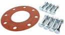 Carson's Nut-Bolt & Tool Bolt and Full Face Gasket Set 