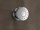 Delta Faucet Brilliance Champagne Bronze Single Function Body Spray 