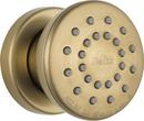 Delta Faucet Brilliance Champagne Bronze Single Function Body Spray 