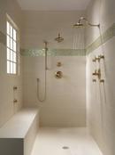 Delta Faucet Brilliance Champagne Bronze Single Function Body Spray 