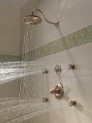 Delta Faucet Brilliance Champagne Bronze Single Function Body Spray 