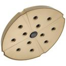 Delta Faucet Brilliance&reg; Champagne Bronze Single Function H2Okinetic&reg; Showerhead 