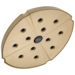 Single Function Showerhead in Brilliance® Champagne Bronze