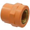 NIBCO CPVC Sprinkler Adapter 