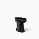 Elongated Toilet Bowl in Black Black&trade;