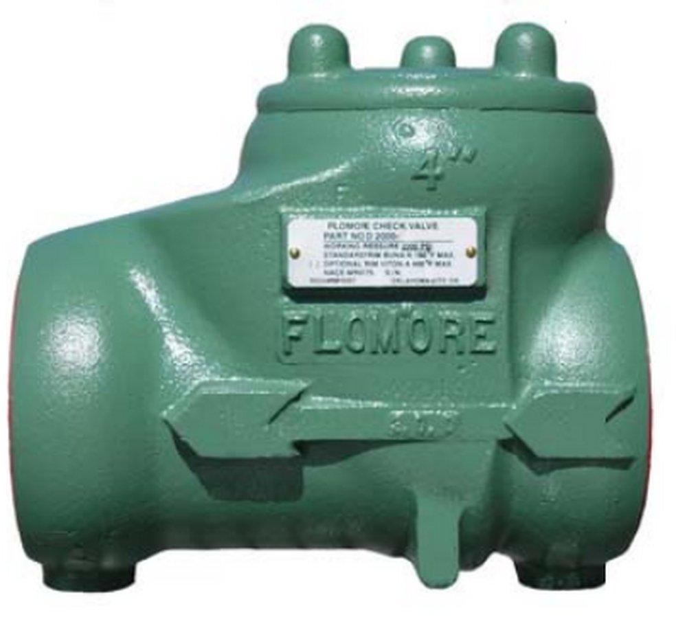 Richart Distributors Ductile Iron Threaded Swing Check Valve 