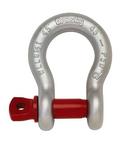 1 in. 8.5 Ton Screw Pin Anchor Shackle