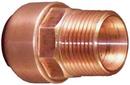 1 in. Copper x Male Clean and Bagged Tectite Adapter
