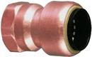 1 in. Copper x Female Clean and Bagged Tectite Adapter