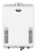 A.O. Smith 240 MBH Indoor or Outdoor Non-condensing Tankless Water Heater 