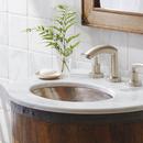 Native Trails Brushed Nickel Undermount Bathroom Sink 